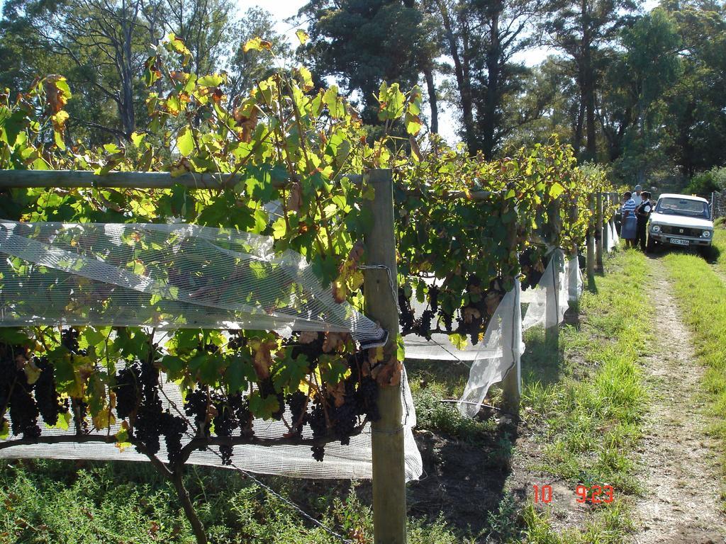 De Doornkraal Vinotel Riversdale Ngoại thất bức ảnh