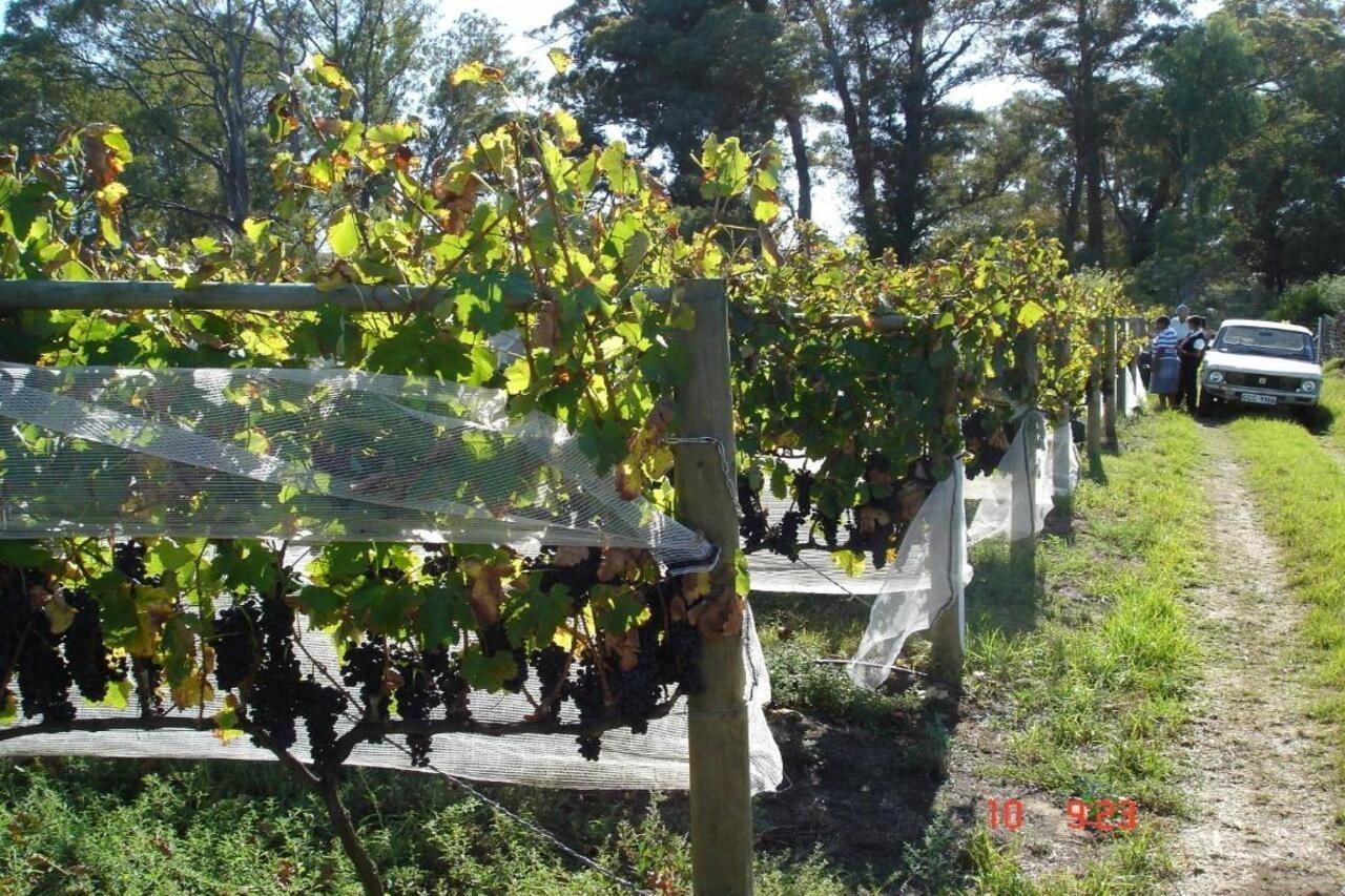 De Doornkraal Vinotel Riversdale Ngoại thất bức ảnh