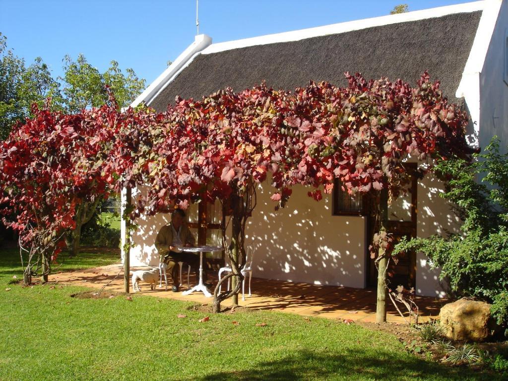 De Doornkraal Vinotel Riversdale Phòng bức ảnh